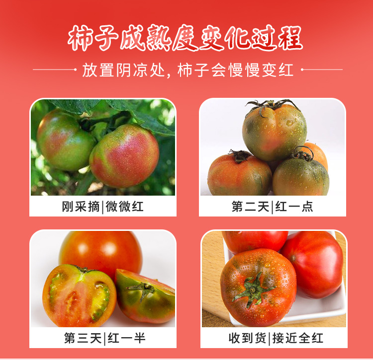 富硒嘎啦水果柿子(图4)