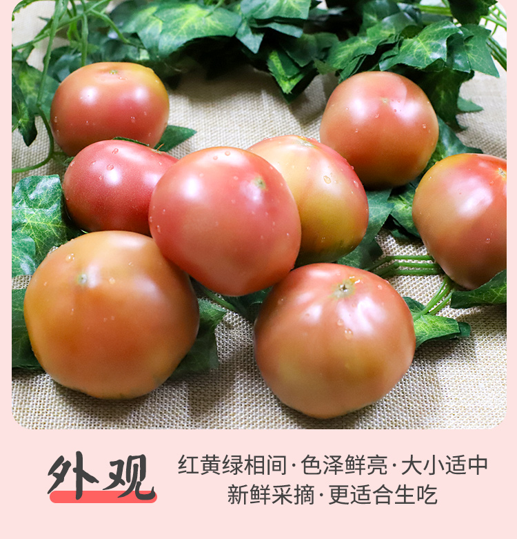 富硒嘎啦水果柿子(图8)